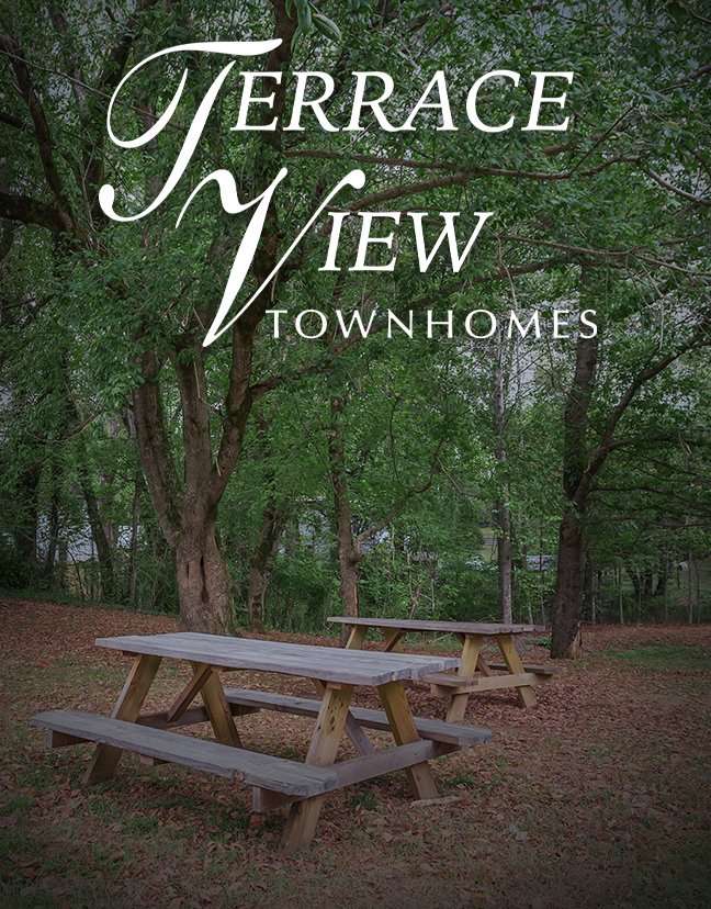 terrace-view-townhomes-ebrochure